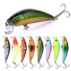 Waggler Float Set for Trout Fishing — 10 Pieces