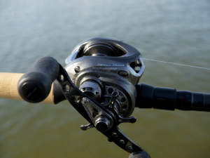 lew's tournament speed spool