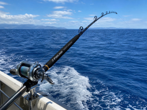 fiblink offshore heavy jigging rod