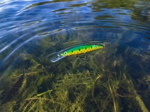 Rapala Scatter Rap Countdown Lure